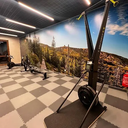 Park B18-z Dostepem Do Basenu, Sauny, Jacuzzi, Silowni Apartament Szklarska Poręba